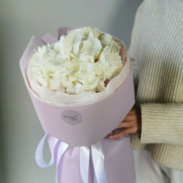 Воздушная гортензия