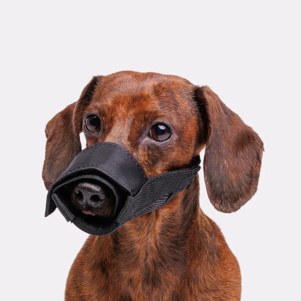 Намордник нейлоновый для собак, S, черный