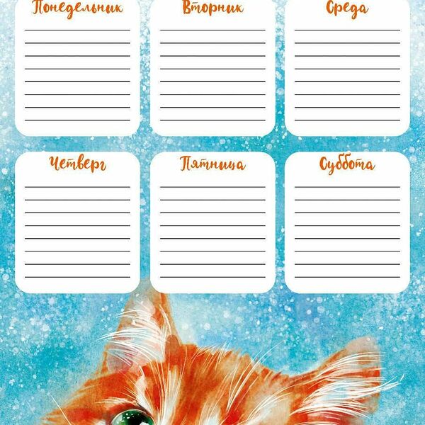 Расписание уроков РЫЖИЙ КОТИК 210x297мм,мелованный картон 235г  63537/К