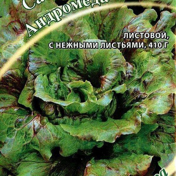 Семена Салат Андромеда ТМ Гавриш