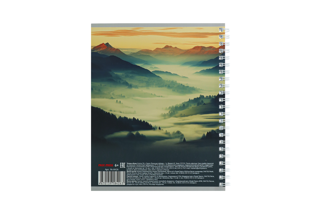 

Тетрадь общая Prof-press Туманные пейзажи А5 96 листов в клетку на гребне