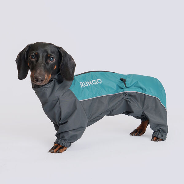 Дождевик для собак Rungo Такса средняя, мальчик, бирюзовый