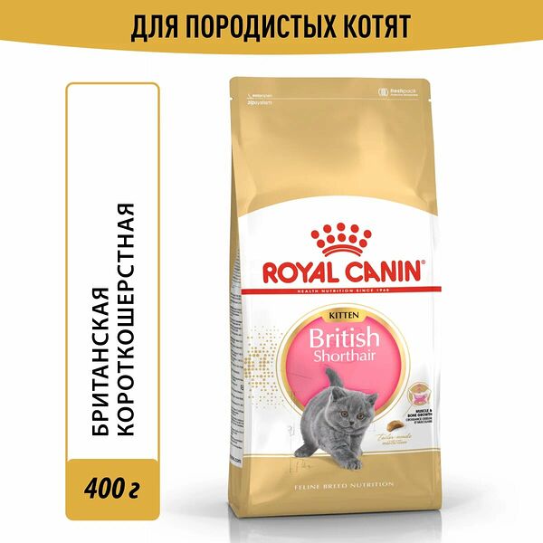 Корм для кошек Royal Canin British Shorthair Kitten сухой сбалансированный для британских короткошерстных котят, 0,4 кг