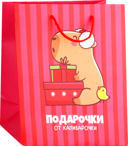 

Пакет Капибара 25х22х12 см в ассортименте