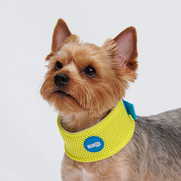 Ошейник охлаждающий для собак и кошек, M, салатовый