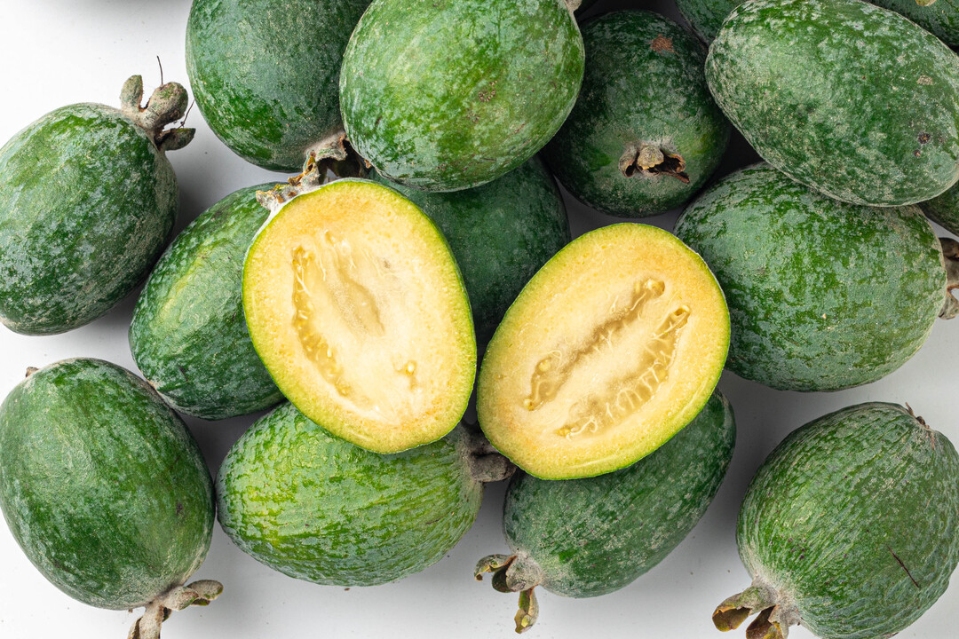 

Фейхоа крупная Фруткорт