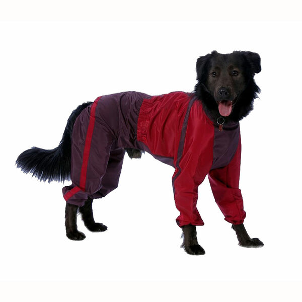 Комбинезон теплый для собак Вест хайленд уайт терьер L (мальчик)