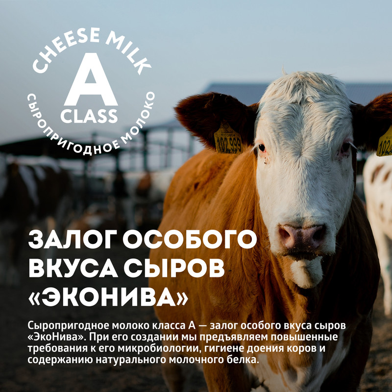 

Сыр полутвердый ЭкоНива Щучанский 50% 200 г