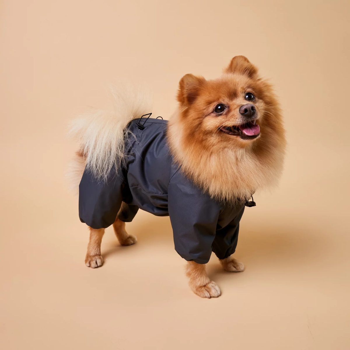 

Демисезонный дождевик Muzzle для собак мелких и средних пород, S1 темно-серый