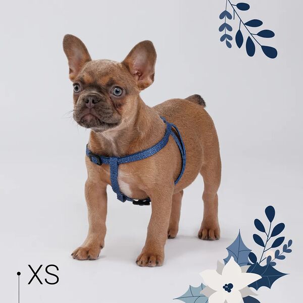 Шлейка нейлоновая для собак и кошек Синяя чешуя, XS, обхват груди 33-46,5 см