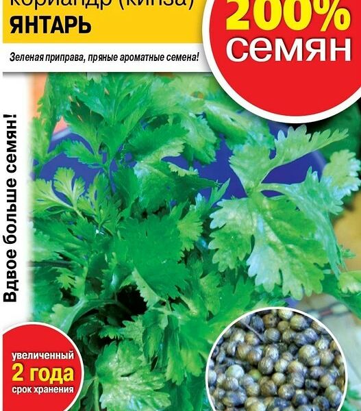 Семена РО Кориандр (Кинза) Янтарный 6г