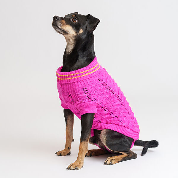 Свитер Petmax розовый XL