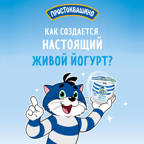 

Йогурт Простоквашино термостатный 4% 160 г