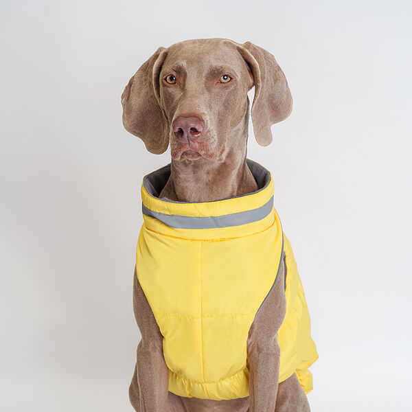 Куртка Rurri на замке для собак 6XL желтый