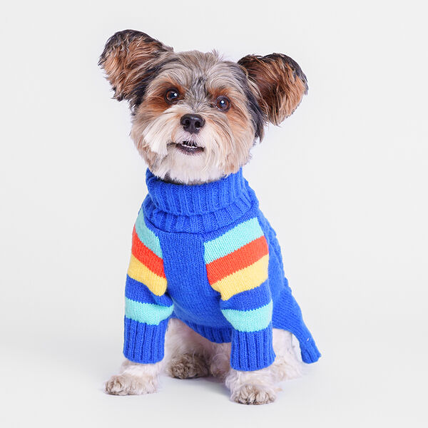 Petmax Свитер для собак синий M