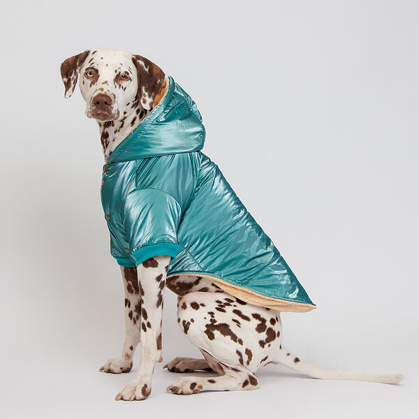 Куртка зеленая с капюшоном для собак Petmax размер 3XL