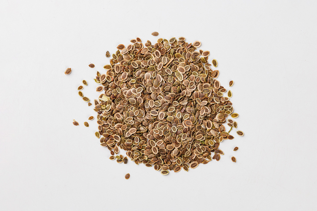 

Семена Поиск укроп Гладиатор, 2 г