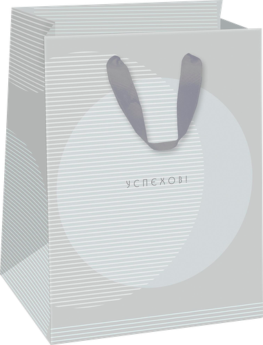 Пакет подарочный Paketiko Arctic 14х19х9 см, дизайн в ассортименте