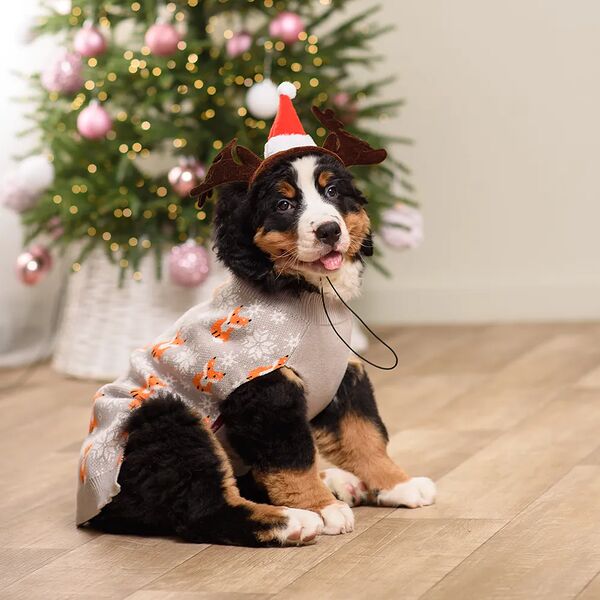 Колпак с оленьими рогами для собак и кошек, 14х10 см