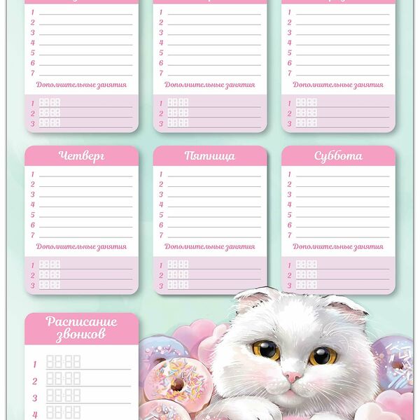 Расписание уроков КОТ С ПОНЧИКОМ 297х420мм,полипропилен 63500/К