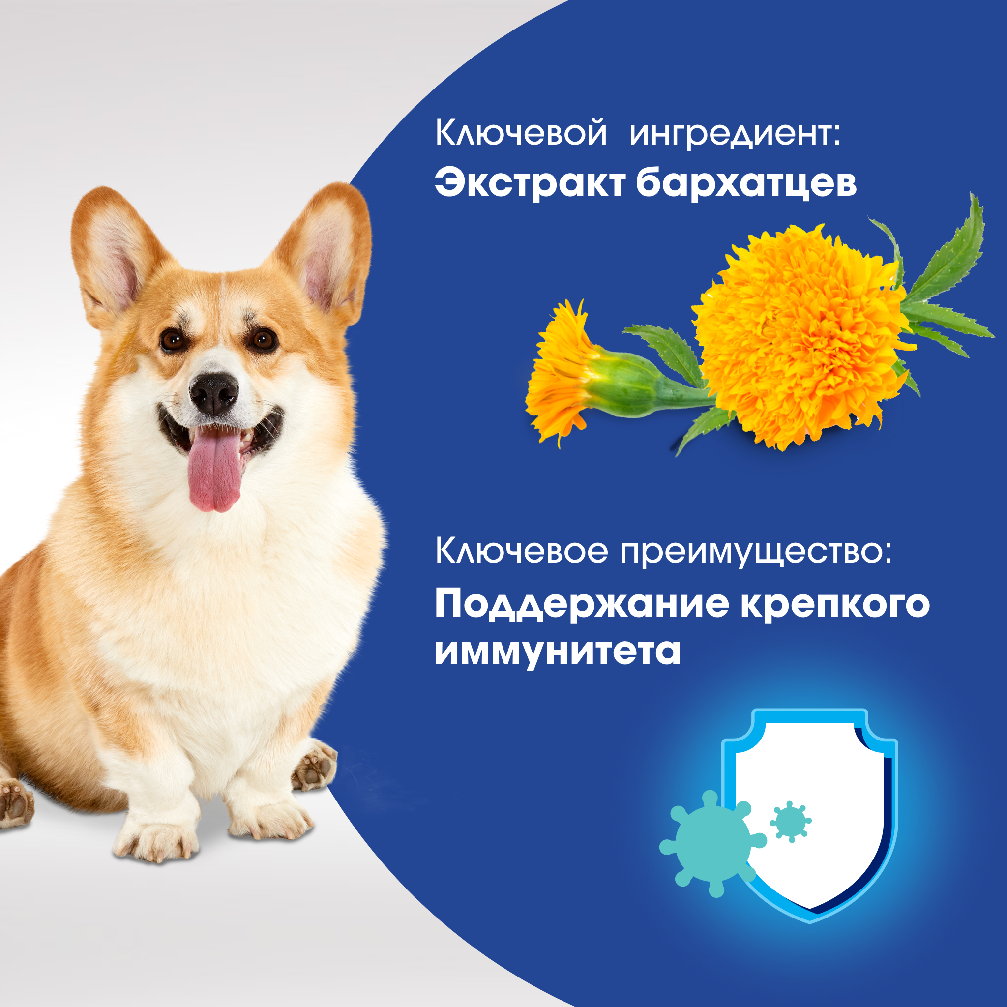 

Лакомство для собак Perfect Fit Immunity говядина с добавлением экстракта бархатцев 90 г