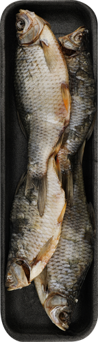 

Красноперка Океан вяленая, вес до 300 г