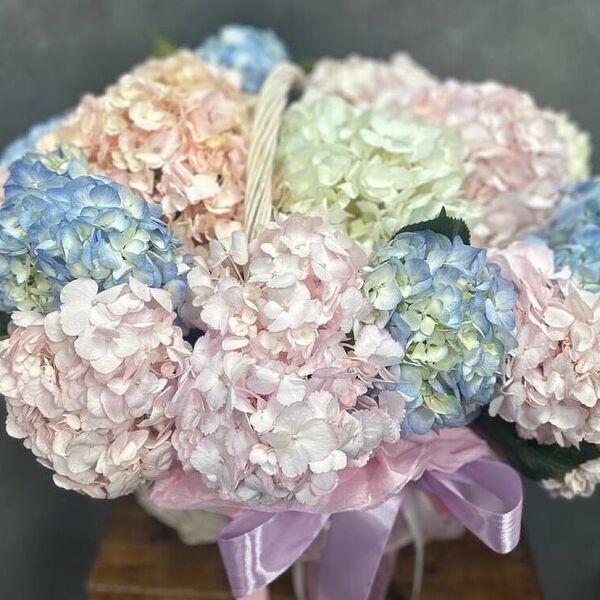 Корзина с 21 Гортензией