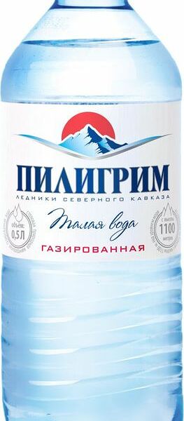 Вода минеральная Пилигрим газированная 500мл