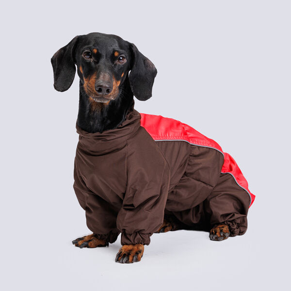 Комбинезон теплый Такса средняя девочка красный/шоколад