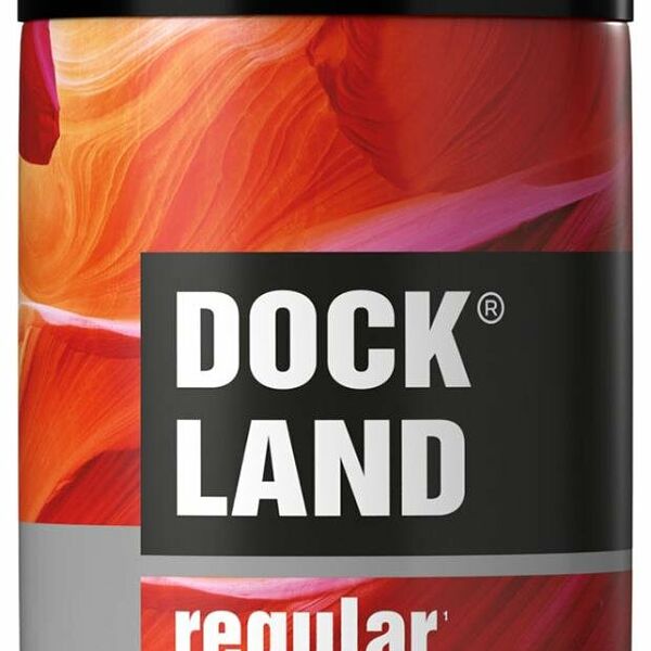 Дезодорант-антиперспирант роликовый Dockland Men Regular