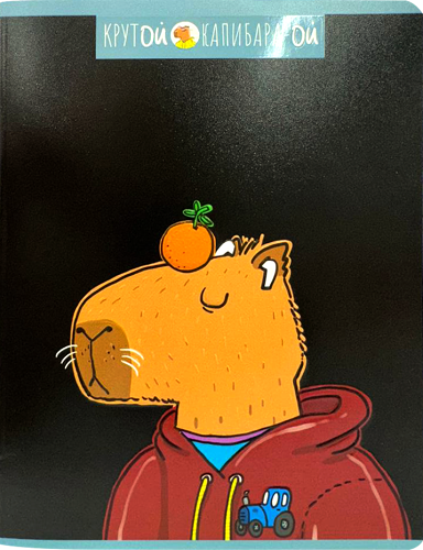 Тетрадь Пзбм Крутой Капибара общая клетка 48л А5 в ассортименте