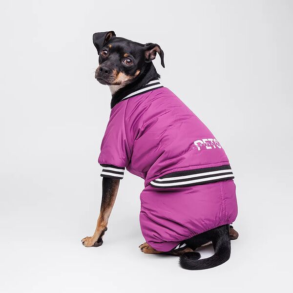 Комбинезон для собак Комикс, 2ХL, фиолетовый (девочка)