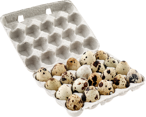 

Яйцо перепелиное ФЕРМА ЕВГЕНИЯ РОШАЛЯ Кубань ферма, 20шт