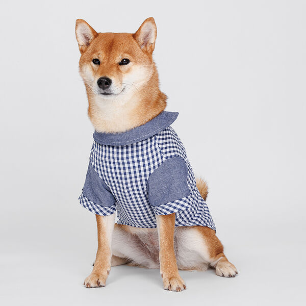 Petmax Рубашка синяя в клетку 4XL