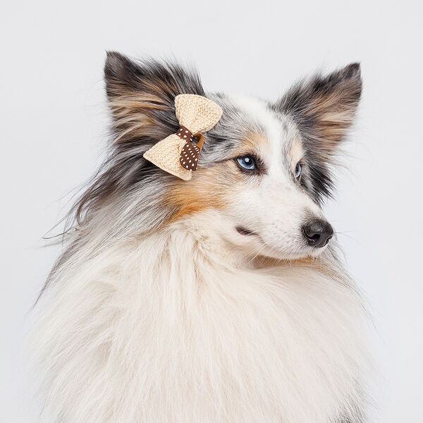 Заколка ушки Зайки коричневая в горох