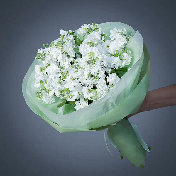 Монобукет Маттиола белая 7 шт