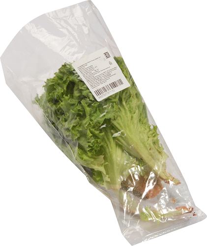 Салат свежий Лолло Бионда 150 г