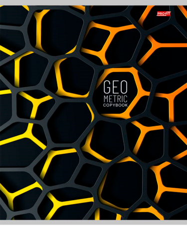 Тетрадь Проф-Пресс Сетка 3D клетка 96л