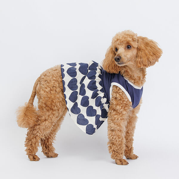 Petmax Платье синее XL