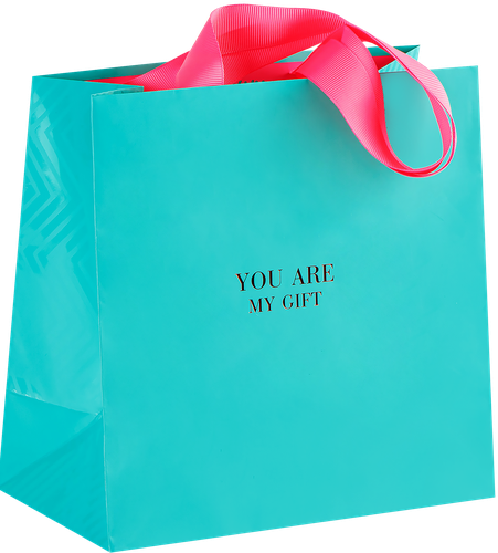 

Пакет подарочный Meshu Bright turquoise отделка фольгой выборочный лак M 20x20x10 см