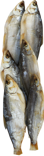 

Пелядь вяленая неразделанная весовая