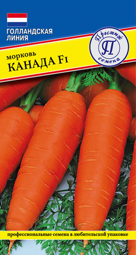 Семена ПРЕСТИЖ-СЕМЕНА Морковь Канада F1, Арт. 00003251, 0,5г