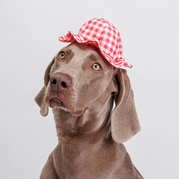 Шляпка красная в клеточку 17см