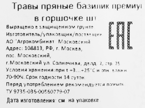 

Базилик в горшочке Премиум