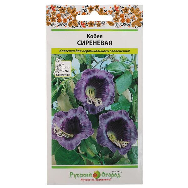 Семена Кобея Сиреневая (5шт)
