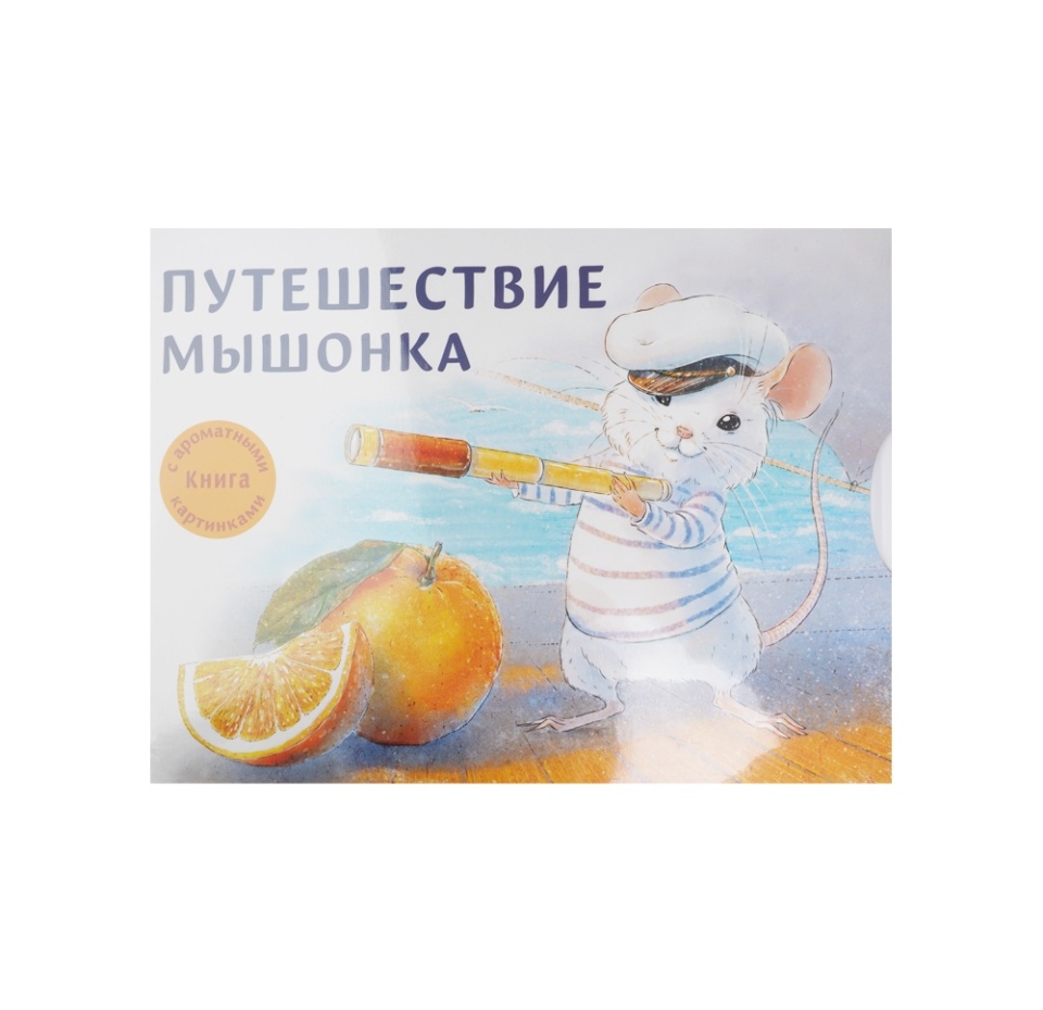 

Книга "Путешествие мышонка" Зенькова Анна Васильевна