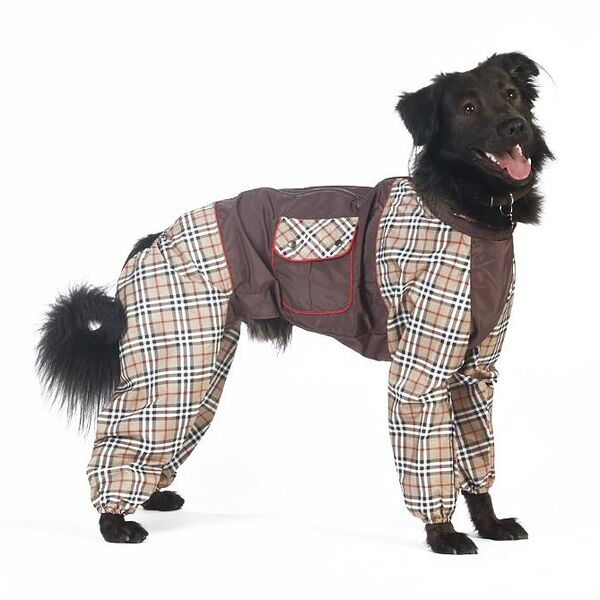 Комбинезон холодный для собак Такса средняя XL (мальчик)
