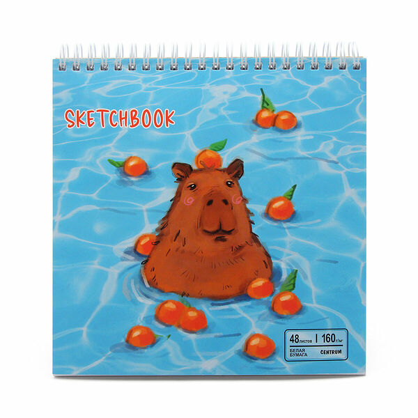 73300 Скетчбук Капибара, 48 листов, жесткая подложка на гребне, р-р 190*190мм