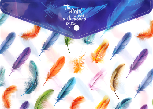 

Набор папок Dream catcher А4, на кнопке, 2шт