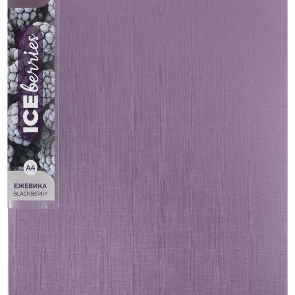 Папка Expert Complete Trend с вкладышами А4 ежевика, 20 л